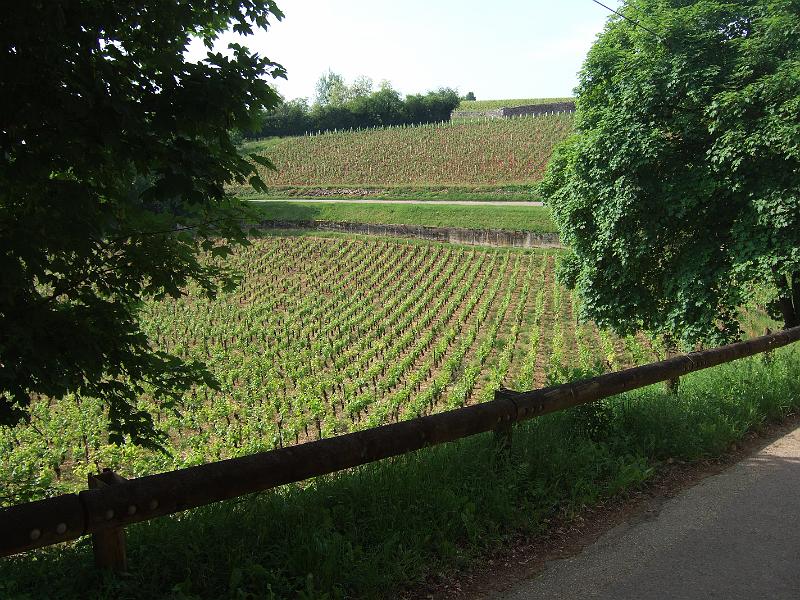 2010-05- (13).JPG